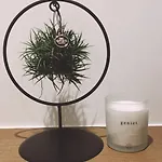 Malpertus Lägenhet