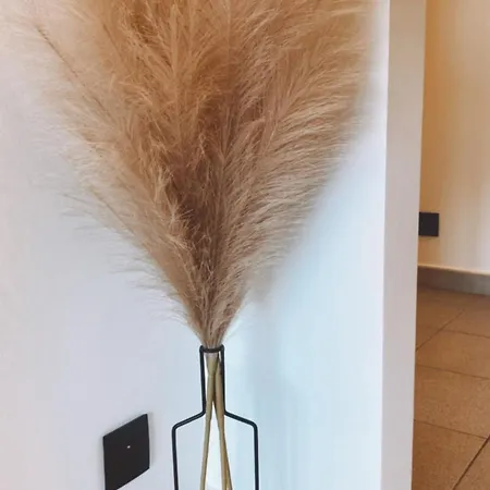 Daire Malpertus Bredene